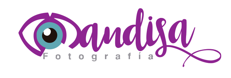 logo-mandisa